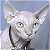 [avatar]
